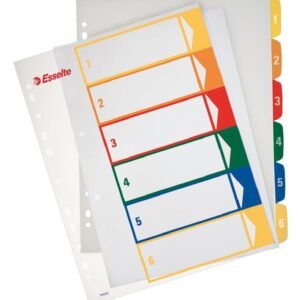 REGISTER A4 1-6 PP BARVNI ESSELTE 100212