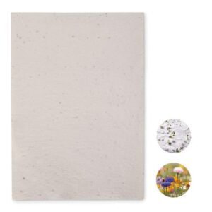 PAPIR A4 S SEMENI 80 g 1/25