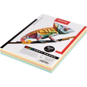 PAPER A4 80g RAINBOW 1/250